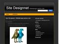 Detalii : Site Designnet