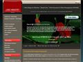 WEB DESIGN ROMANIA LOGIC INDUSTRY - Web Design for Business: Site web, optimizare site