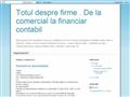 Totul despre firme.De la comercial la financiar contabil