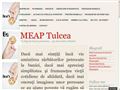 Detalii : MEAP Tulcea - un blog de muzeu prietenos