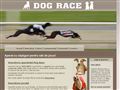 Dog Race. Curse de caini. Jocuri de noroc